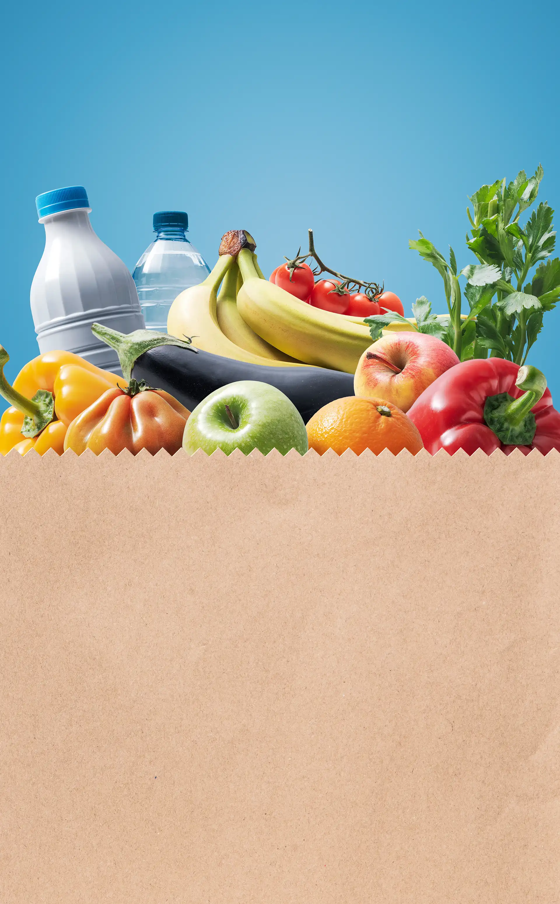 Photo d'un sac de nourriture